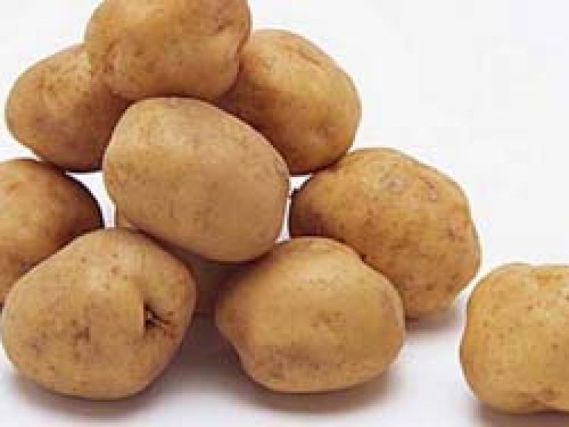 Картофель вега описание сорта характеристика урожайность. Семенной картофель Вега. Сорт картофеля Вега. Сорт Сагитта картофель. Картошка Гала и Вега.